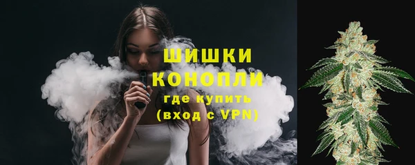 ПСИЛОЦИБИНОВЫЕ ГРИБЫ Балабаново