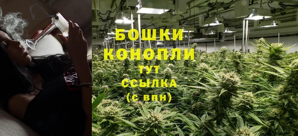 ПСИЛОЦИБИНОВЫЕ ГРИБЫ Балабаново