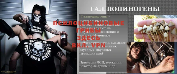 a pvp Баксан