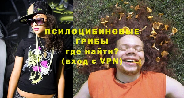 ПСИЛОЦИБИНОВЫЕ ГРИБЫ Балабаново