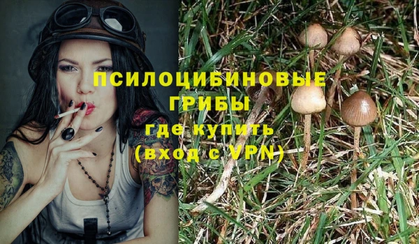 ПСИЛОЦИБИНОВЫЕ ГРИБЫ Балабаново
