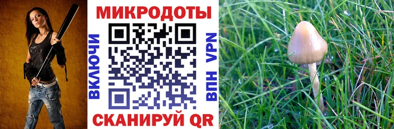 цены наркотик  Шарыпово  Псилоцибиновые грибы мицелий 